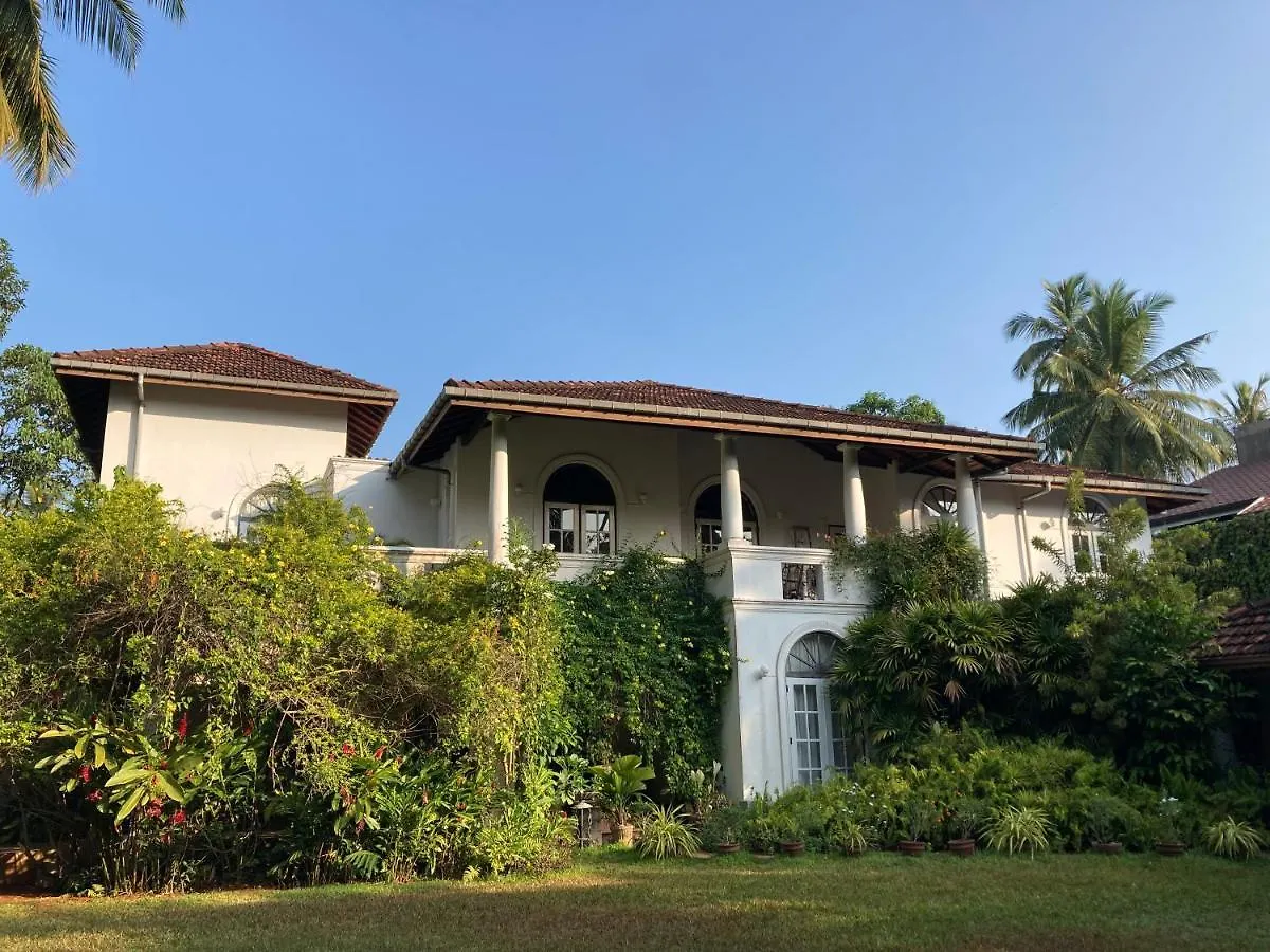 Bed & Breakfast The Villa Green Inn Negombo
