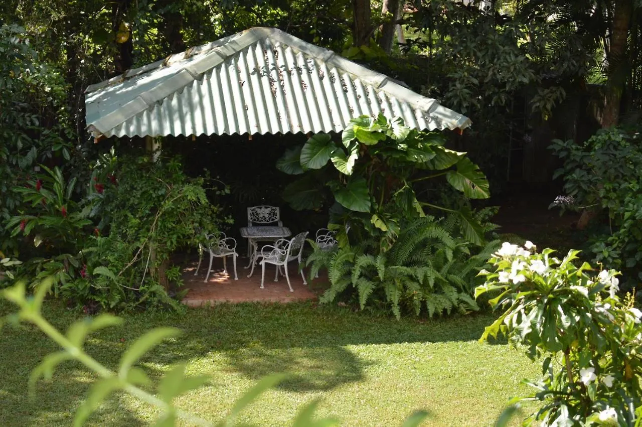 The Villa Green Inn Негомбо Отель типа 