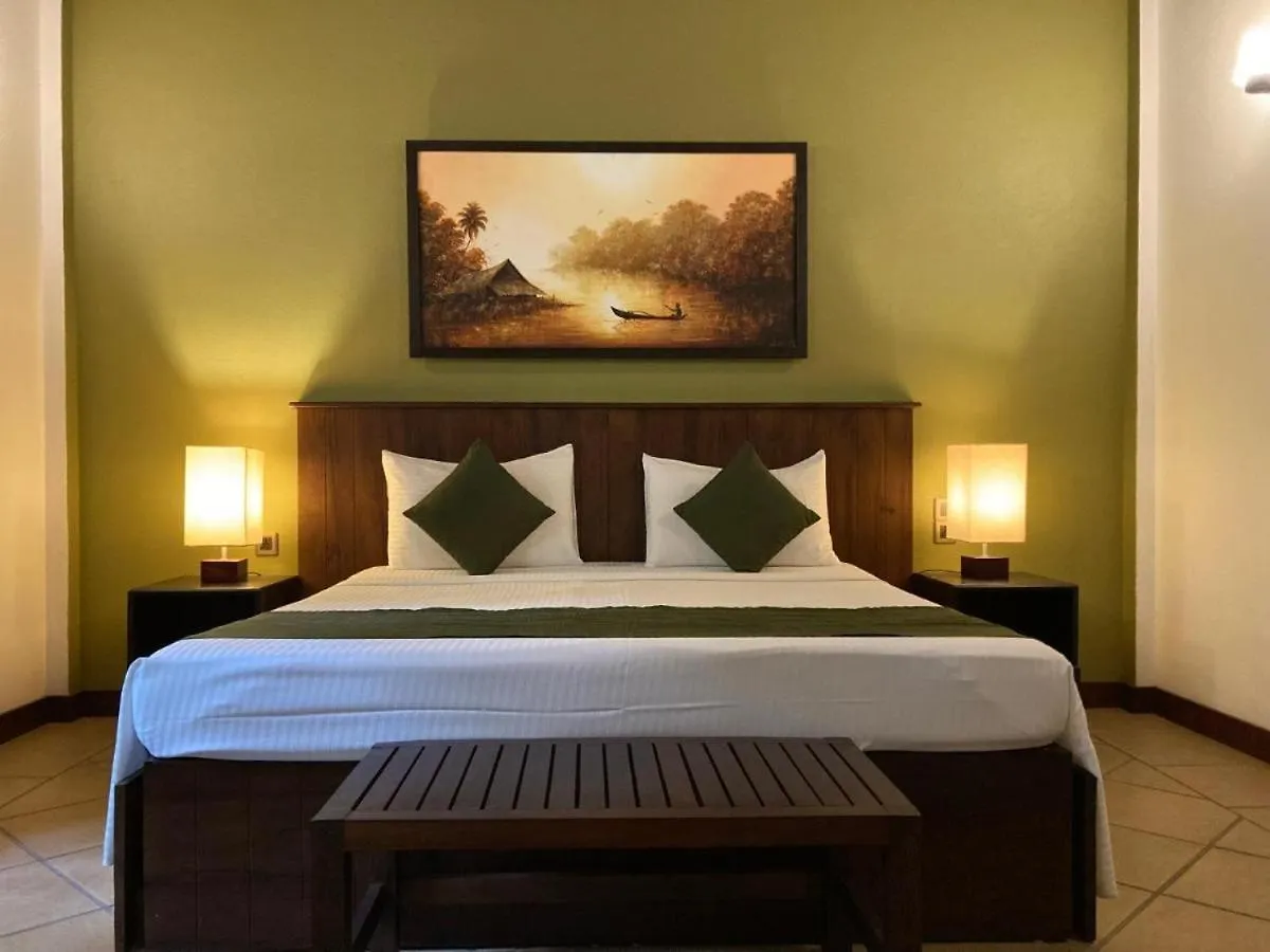 Bed & Breakfast The Villa Green Inn Negombo