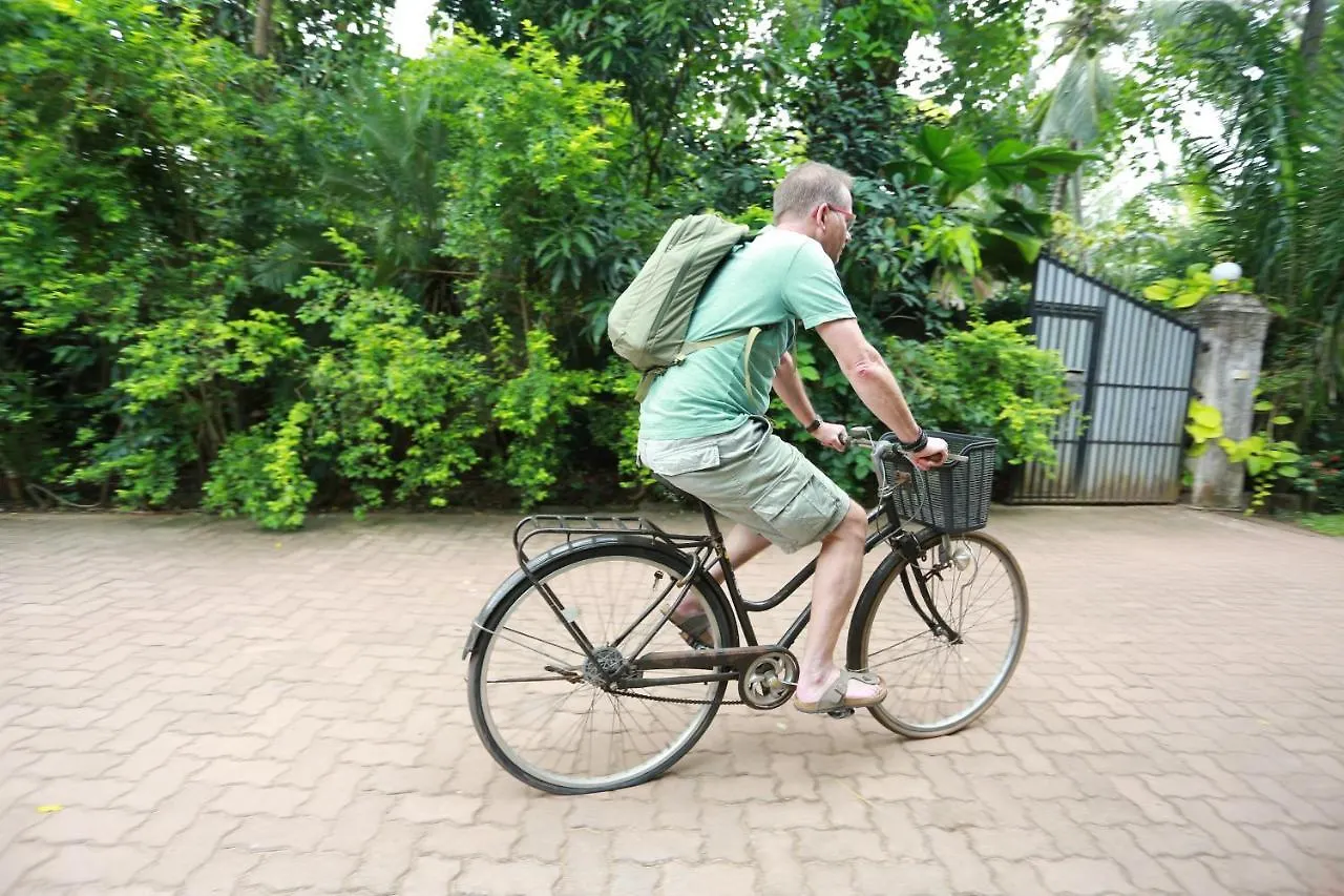 Bed & Breakfast The Villa Green Inn Negombo